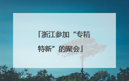 浙江参加“专精特新”的聚会
