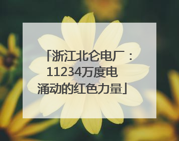 浙江北仑电厂：11234万度电涌动的红色力量
