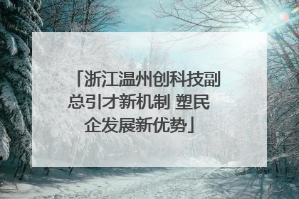 浙江温州创科技副总引才新机制 塑民企发展新优势