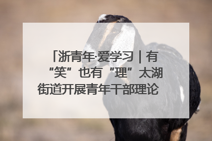 浙青年·爱学习｜有“笑”也有“理”太湖街道开展青年干部理论宣讲“开放麦”