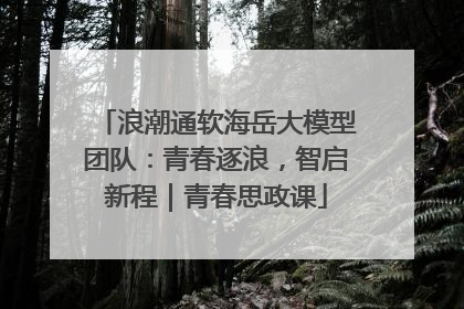 浪潮通软海岳大模型团队：青春逐浪，智启新程｜青春思政课