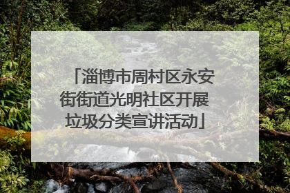 淄博市周村区永安街街道光明社区开展垃圾分类宣讲活动