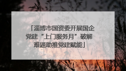 淄博市国资委开展国企党建“上门服务月”破解难题助推党建赋能