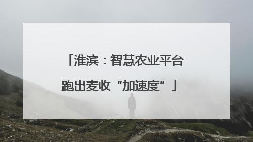 淮滨：智慧农业平台跑出麦收“加速度”