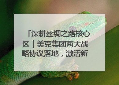 深耕丝绸之路核心区｜美克集团两大战略协议落地，激活新疆开放新动能