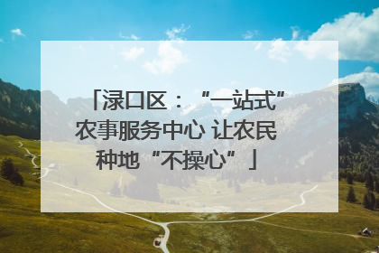 渌口区：“一站式”农事服务中心 让农民种地“不操心”