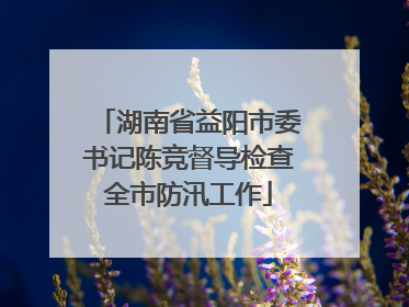湖南省益阳市委书记陈竞督导检查全市防汛工作