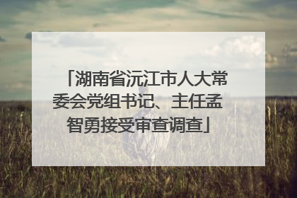 湖南省沅江市人大常委会党组书记、主任孟智勇接受审查调查