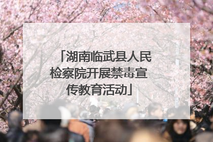 湖南临武县人民检察院开展禁毒宣传教育活动