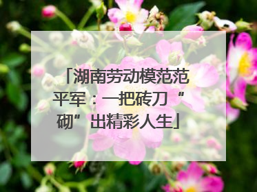 湖南劳动模范范平军：一把砖刀“砌”出精彩人生