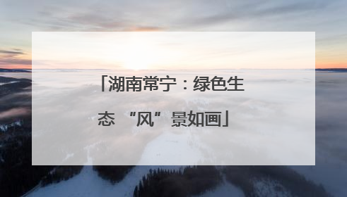 湖南常宁：绿色生态 “风”景如画