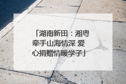 湖南新田：湘粤牵手山海情深 爱心捐赠情暖学子