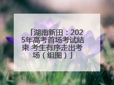 湖南新田：2025年高考首场考试结束 考生有序走出考场（组图）