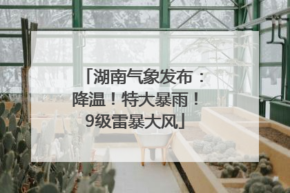 湖南气象发布：降温！特大暴雨！9级雷暴大风