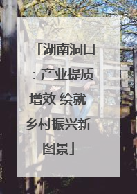 湖南洞口：产业提质增效 绘就乡村振兴新图景