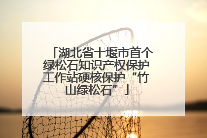 湖北省十堰市首个绿松石知识产权保护工作站硬核保护“竹山绿松石”