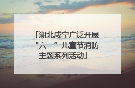 湖北咸宁广泛开展“六一”儿童节消防主题系列活动
