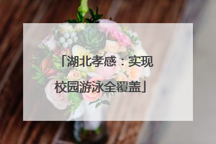 湖北孝感：实现校园游泳全覆盖