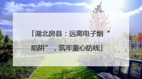 湖北房县：远离电子烟“陷阱”，筑牢童心防线