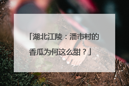 湖北江陵：潘市村的香瓜为何这么甜？