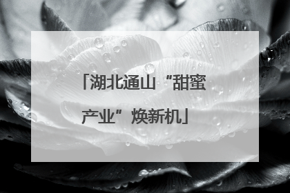 湖北通山“甜蜜产业”焕新机