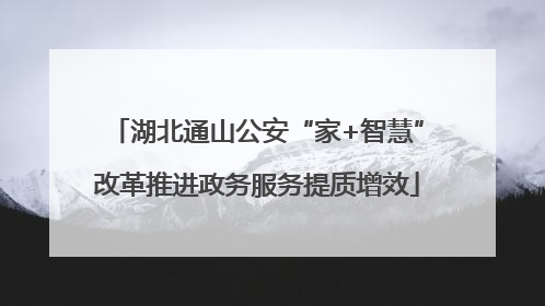 湖北通山公安“家+智慧”改革推进政务服务提质增效