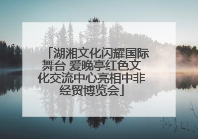 湖湘文化闪耀国际舞台 爱晚亭红色文化交流中心亮相中非经贸博览会