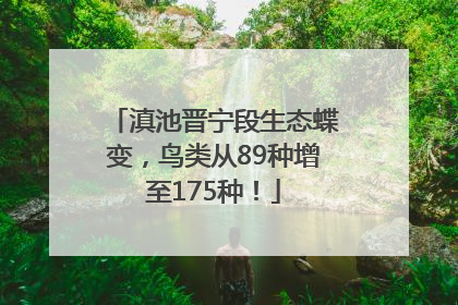 滇池晋宁段生态蝶变，鸟类从89种增至175种！