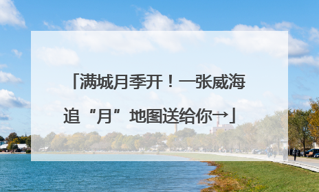 满城月季开！一张威海追“月”地图送给你→