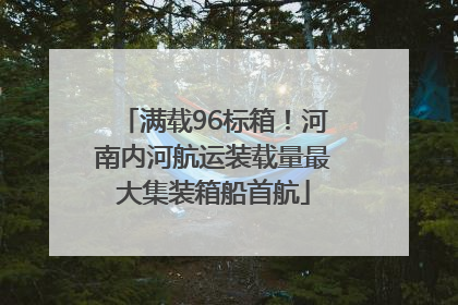 满载96标箱！河南内河航运装载量最大集装箱船首航