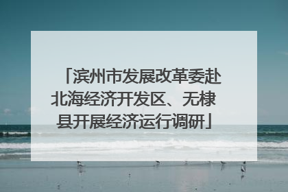 滨州市发展改革委赴北海经济开发区、无棣县开展经济运行调研