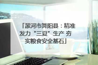 漯河市舞阳县：精准发力“三夏”生产 夯实粮食安全基石