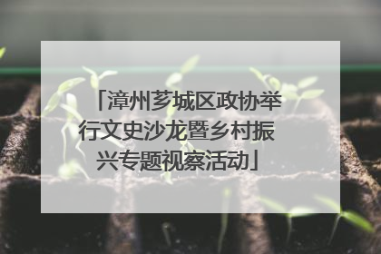 漳州芗城区政协举行文史沙龙暨乡村振兴专题视察活动