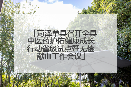 菏泽单县召开全县中医药护佑健康成长行动省级试点暨无偿献血工作会议