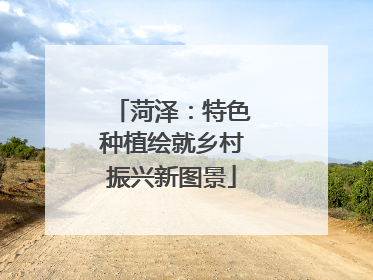菏泽：特色种植绘就乡村振兴新图景