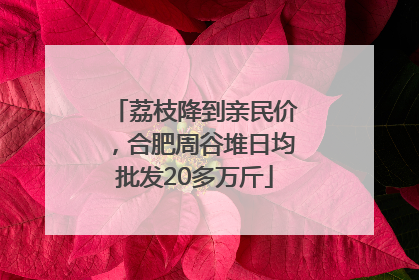 荔枝降到亲民价，合肥周谷堆日均批发20多万斤