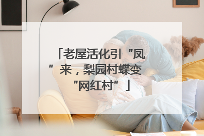 老屋活化引“凤”来，梨园村蝶变“网红村”