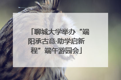 聊城大学举办“端阳承古意·助学启新程”端午游园会