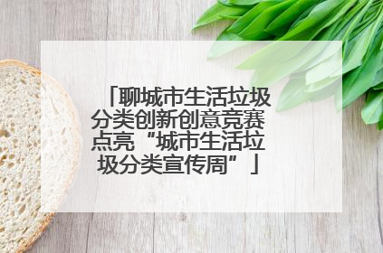 聊城市生活垃圾分类创新创意竞赛点亮“城市生活垃圾分类宣传周”