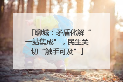 聊城：矛盾化解“一站集成”，民生关切“触手可及”