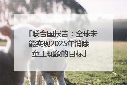联合国报告：全球未能实现2025年消除童工现象的目标