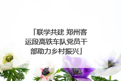 联学共建 郑州客运段高铁车队党员干部助力乡村振兴