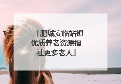 肥城安临站镇优质养老资源福祉更多老人