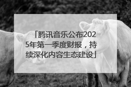 腾讯音乐公布2025年第一季度财报，持续深化内容生态建设