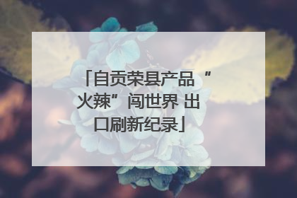自贡荣县产品“火辣”闯世界 出口刷新纪录
