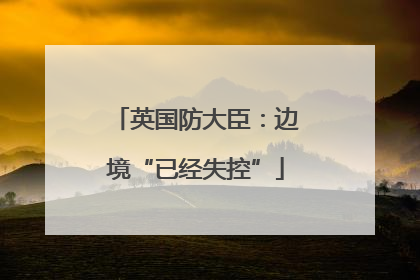 英国防大臣：边境“已经失控”
