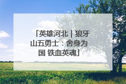 英雄河北｜狼牙山五勇士：舍身为国 铁血英魂