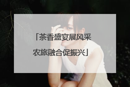 茶香盛宴展风采 农旅融合促振兴