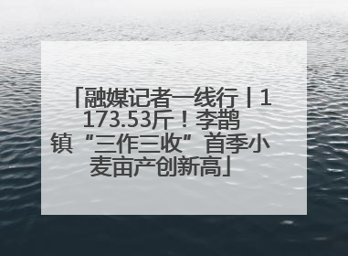 融媒记者一线行丨1173.53斤！李鹊镇“三作三收”首季小麦亩产创新高