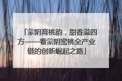 蒙阴育桃韵，甜香溢四方——看蒙阴蜜桃全产业链的创新崛起之路